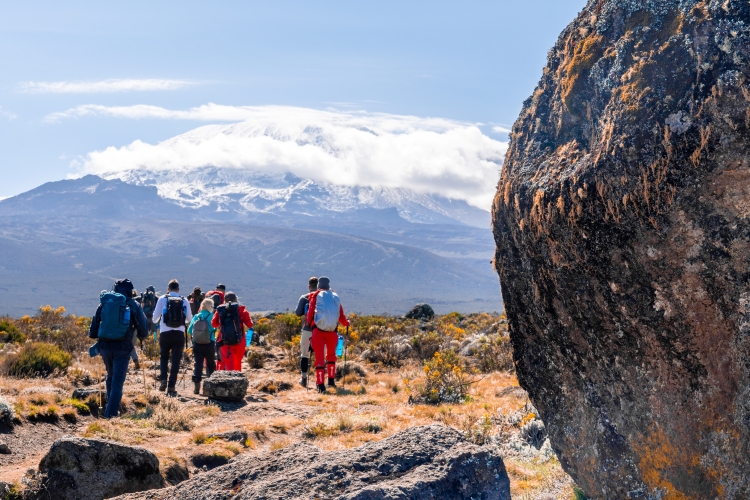 7 Days Machame