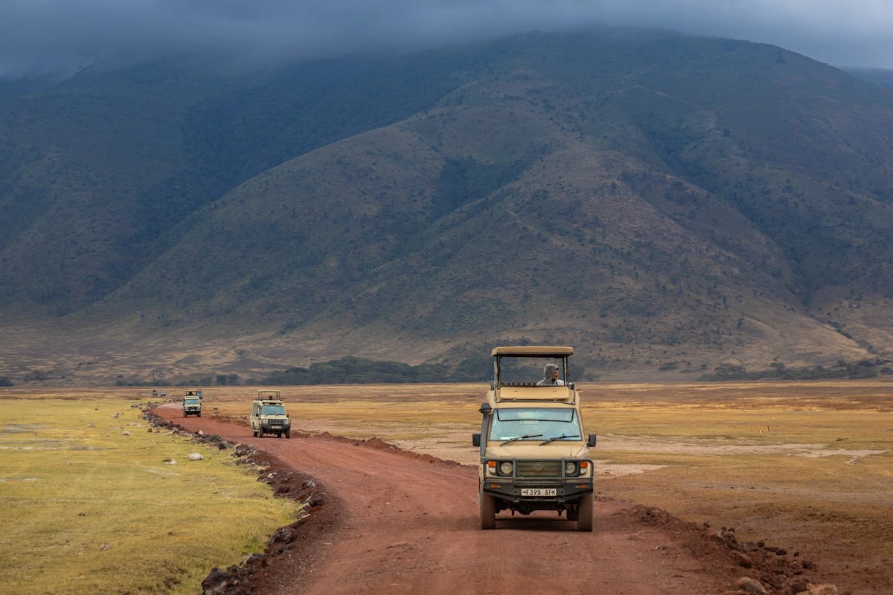 3-Day Serengeti and Ngorongoro Group Safari