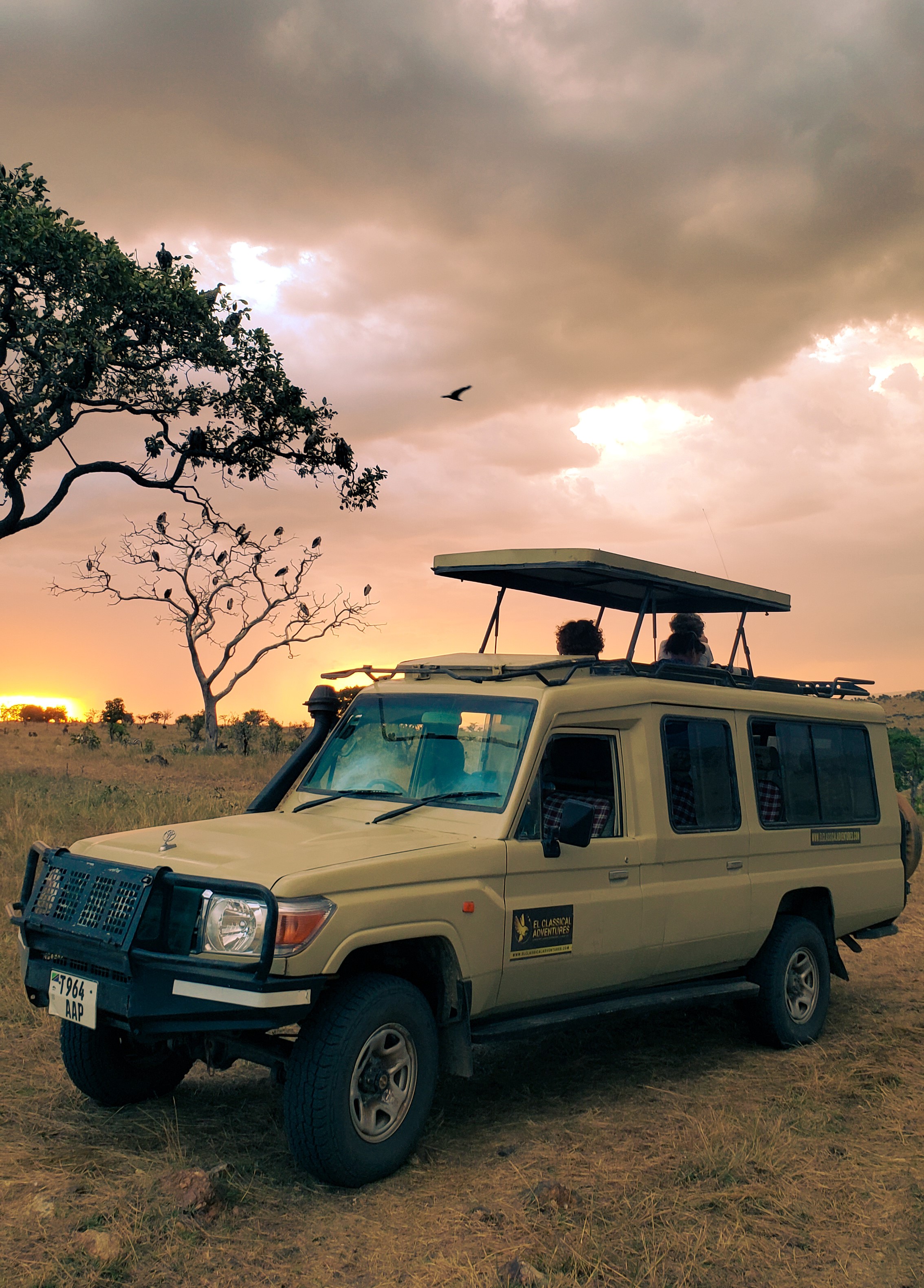 Tanzania Safaris
