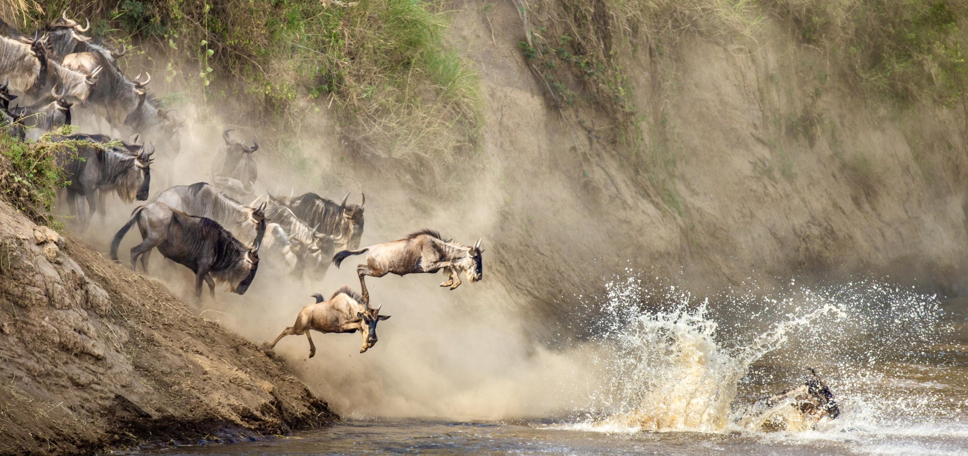 6 Days Great Migration